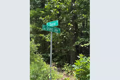 7801 Grand Lillie Drive, Durham, NC 27712 - Photo 3