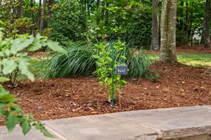 3909 Elmswick Ct, Apex, NC 27539 - Photo 61