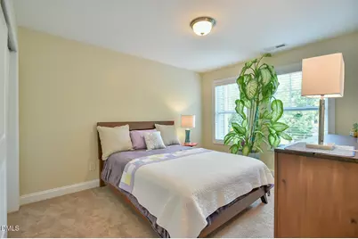 254 Lexes Trail, Chapel Hill, NC 27516 - Photo 15