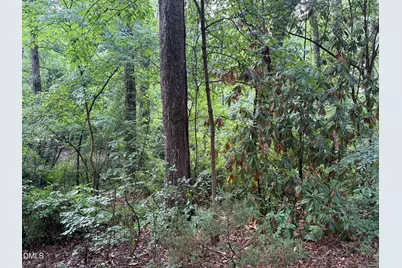 1709 Shawnee Street, Durham, NC 27701 - Photo 15