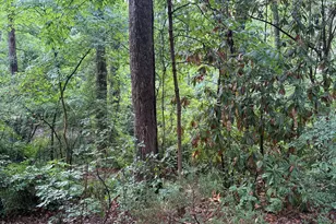 1709 Shawnee St, Durham, NC 27701 - Photo 15