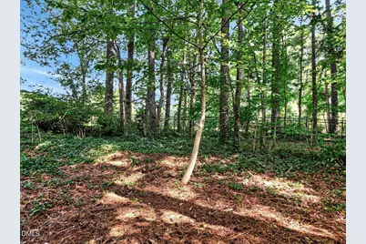 3940 Lake Ferry Drive, Raleigh, NC 27606 - Photo 41