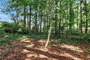 3940 Lake Ferry Dr, Raleigh, NC 27606 - Photo 41
