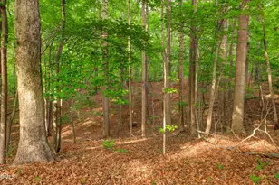 3901 Orchard Point Ct, Apex, NC 27539 - Photo 77
