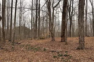 1753 Old Lystra Rd, Chapel Hill, NC 27517 - Photo 3