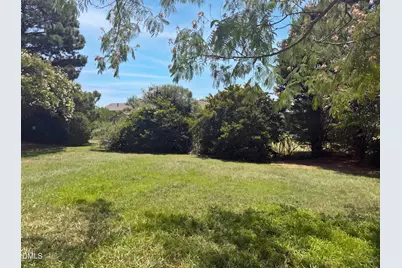 1033 Panther Hill Lane, Raleigh, NC 27603 - Photo 23