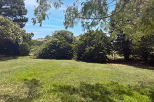 1033 Panther Hill Ln, Raleigh, NC 27603 - Photo 23