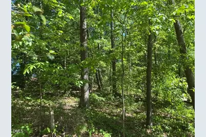 0 Irish Boulevard, Sanford, NC 27332 - Photo 5