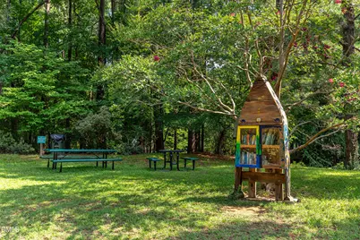 239 Seminole Drive, Chapel Hill, NC 27514 - Photo 23
