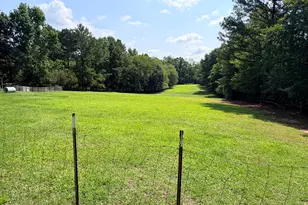 210 W Rd, Angier, NC 27501 - Photo 47