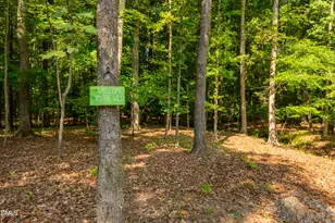 30 Park Meadow Ln, Youngsville, NC 27596 - Photo 53