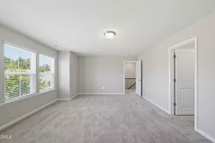 3146 Zebroid Way, New Hill, NC 27562 - Photo 29