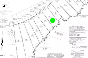 Lot 29 S Big Woods Rd, Spring Hope, NC 27882 - Photo 1