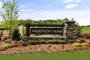 933 Sculptor St, Wendell, NC 27591 - Photo 33