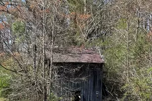 344 J B Leonard Rd, Castalia, NC 27816 - Photo 73