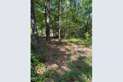 153 Omaha Drive, Louisburg, NC 27549 - Photo 3
