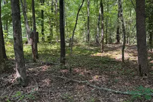 153 Omaha Dr, Louisburg, NC 27549 - Photo 1