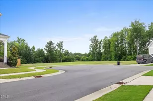 328 Tumbling River Dr, Wendell, NC 27591 - Photo 61