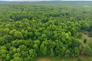 5434 Walker Farm Rd, Hillsborough, NC 27278 - Photo 39