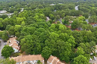 6624 English Ivy Ln, Raleigh, NC 27615 - Photo 47
