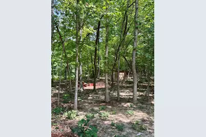 31 Izuba Day Drive, Timberlake, NC 27583 - Photo 21