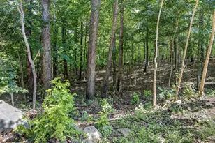4750 Black Mountain Path, Raleigh, NC 27612 - Photo 51