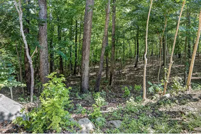 4750 Black Mountain Path, Raleigh, NC 27612 - Photo 49