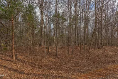 624 Bowen Road, Rougemont, NC 27572 - Photo 9