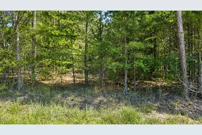 0 Weldon Painter Road, Timberlake, NC 27583 - Photo 3
