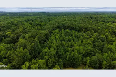 0 Weldon Painter Road, Timberlake, NC 27583 - Photo 3
