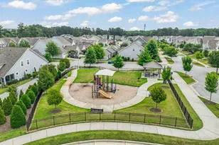 133 Daisy Grove Ln, Holly Springs, NC 27540 - Photo 39