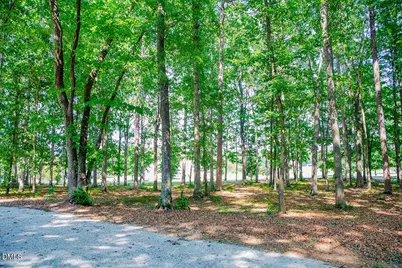 194 Robert Whitfield Road, Hurdle Mills, NC 27541 - Photo 5