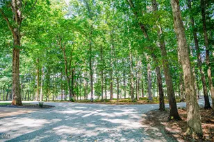 194 Robert Whitfield Rd, Hurdle Mills, NC 27541 - Photo 85