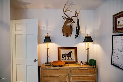 194 Robert Whitfield Road, Hurdle Mills, NC 27541 - Photo 67