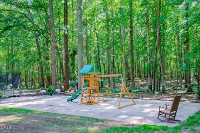 194 Robert Whitfield Road, Hurdle Mills, NC 27541 - Photo 79