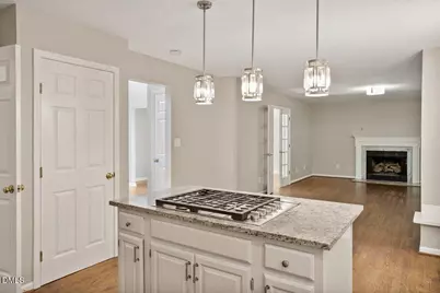 217 Robert Hunt Drive, Carrboro, NC 27510 - Photo 31