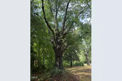 510 Walnut Street, Cary, NC 27511 - Photo 21