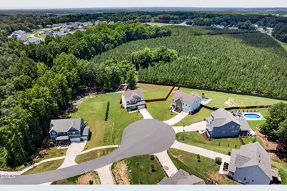 321 Lily Oak Drive, Rolesville, NC 27571 - Photo 39