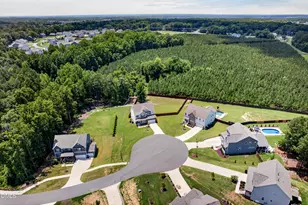 321 Lily Oak Dr, Rolesville, NC 27571 - Photo 39