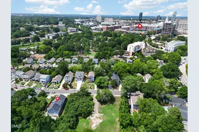 103 Chestnut Street, Durham, NC 27707 - Photo 59