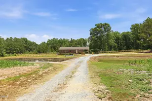 763 Tingen Rd, Broadway, NC 27505 - Photo 39