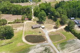 763 Tingen Rd, Broadway, NC 27505 - Photo 3