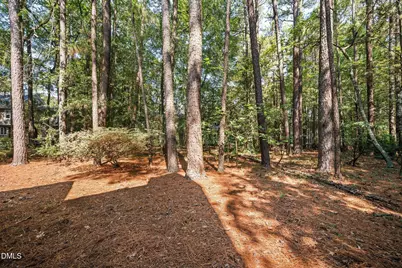 505 Heathridge Lane, Cary, NC 27513 - Photo 45