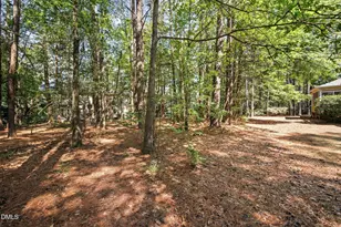 505 Heathridge Ln, Cary, NC 27513 - Photo 45