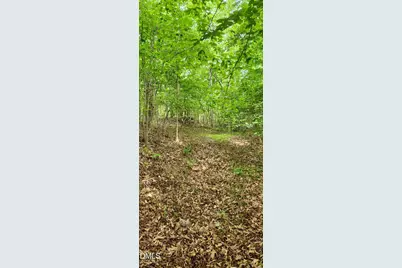 0 Helena Moriah Road, Timberlake, NC 27583 - Photo 5