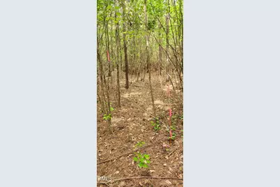 0 Helena Moriah Road, Timberlake, NC 27583 - Photo 1