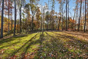 375 Gaines Trl, Pittsboro, NC 27312 - Photo 43