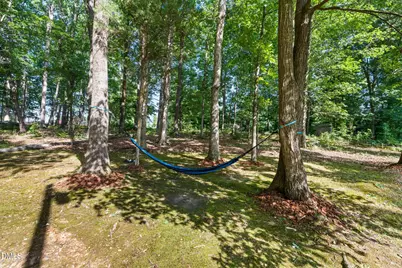 5133 Lewis Brown Road, Bennett, NC 27208 - Photo 41