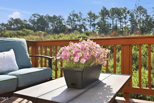 462 Brier Summit Pl, Durham, NC 27703 - Photo 57