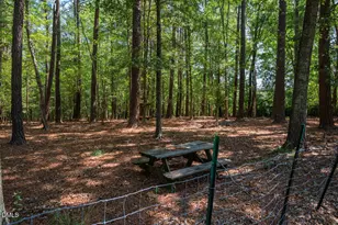 7 Twin Lakes Rd, Pittsboro, NC 27312 - Photo 53